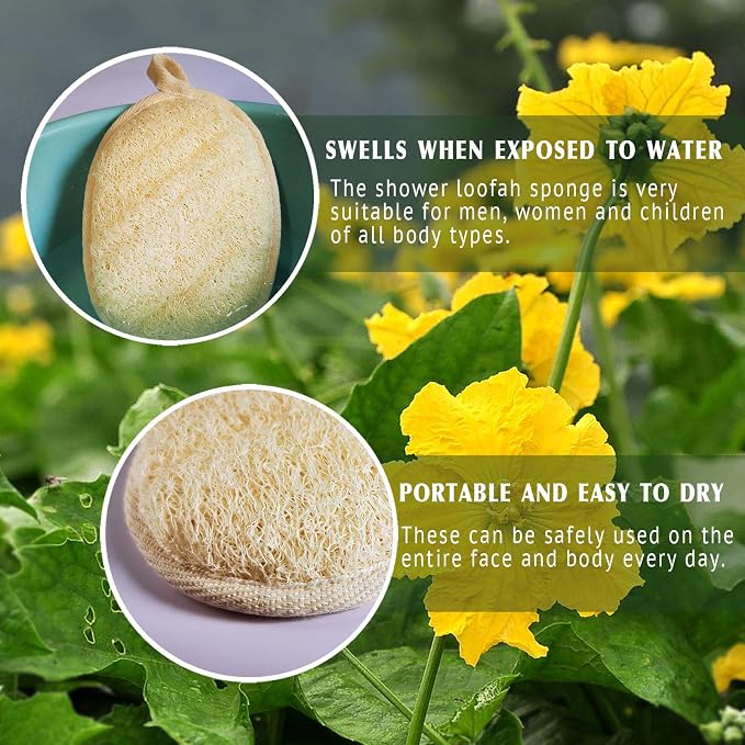 Natural Loofah Bath Sponge (4-Pack) - Dual-Sided Exfoliating Body Scrubber, Eco-Friendly Biodegradable Shower Pad for Gentle Deep Cleansing
